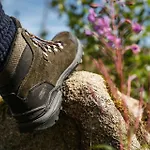 Zum Hexenstieg * Schierke