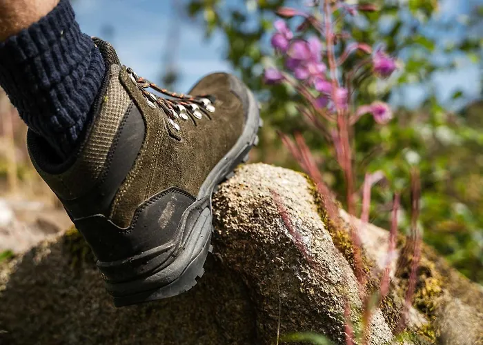 Zum Hexenstieg * 施尔奇